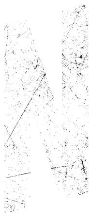 Noirwhich logo